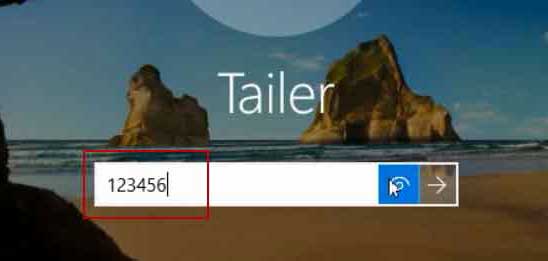 log on Windows 10 with the new password